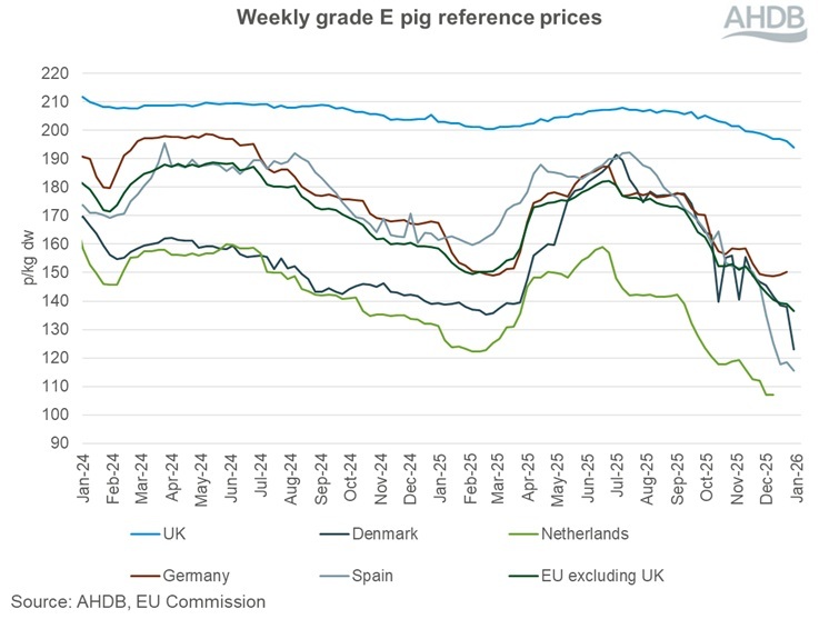 Graph showing EU grade E pig prices 4 January 2026.